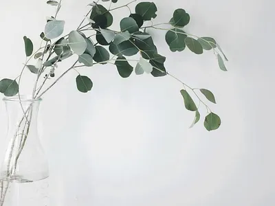 Yoga by Loriana Website Redesign brand design branding collaboration design inspiration design process design thinking empathyindesign framer product design redesign responsive design squarespace ui design user experience ux design ux research visual design web design yoga yoga website