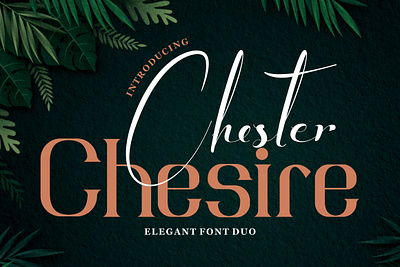 Chester Chesire – Elegant Duo Font aesthetic branding business classic design creative project display font elegant font fashion brand headline font illustration logo luxury magazine modern font premium font romantic script serif typography wedding font