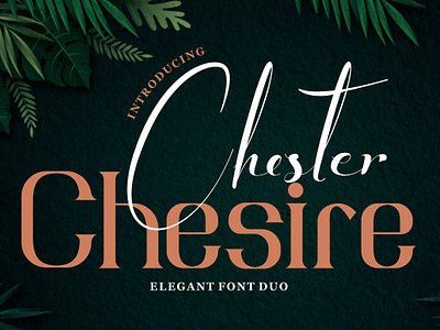 Chester Chesire – Elegant Duo Font aesthetic branding business classic design creative project display font elegant font fashion brand headline font illustration logo luxury magazine modern font premium font romantic script serif typography wedding font