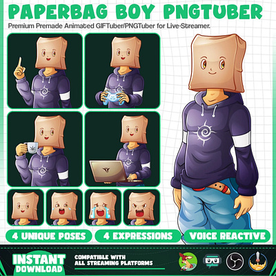 Paperbag Boy PNGTuber & GIFTuber Model |Boy PNGTuber | Paperbag boy model premade