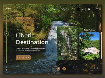 Liberia Web Design 3d animation app appdesign branding design graphic design illustration landing page logo motion graphics ui uidesign ux uxdesign web web design website website design