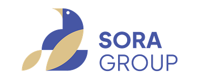 Branding for Sora Group 2024 branding logo