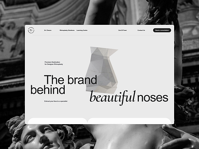 Black and White rhinoplasty specialist website design 2024 agency design web