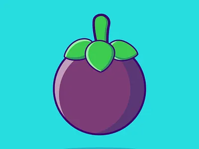 Mangosteen design graphic design hridaydas99 illustration mangosteen