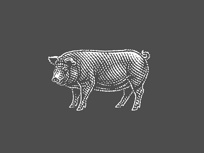 Pata Negra Pig black and white engraved engraving etched etching illustration invert line art pata negra pen and ink pig vector engraving woodcut