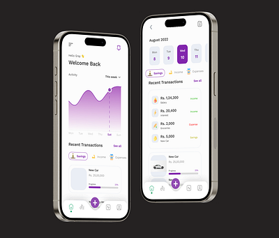 Budgeting Application budgeting app finance graph mobile app ui