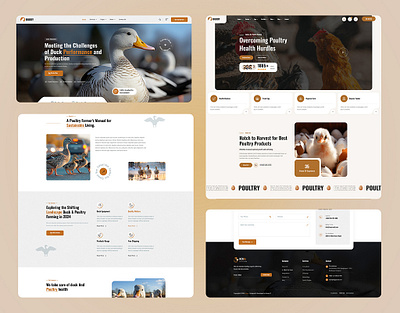 Poultry Farm & The Duck Organic Website Template 3d animation branding graphic design logo motion graphics ui