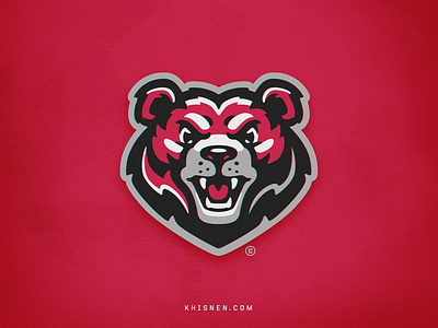 Bears bears branding graphic design logo logotype mascot