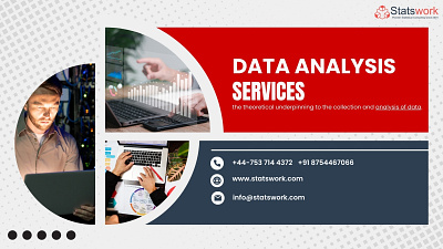 Data Analysis Services data analysis