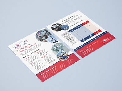 B2B Marketing Brochures b2b brochure brochures flyers graphic design marketing marketing brochures security