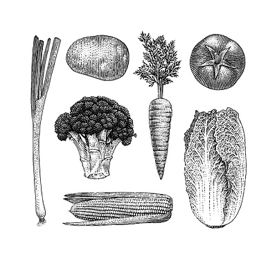 Vegetables black and white botanical engraving illustration scratchboard woodcut