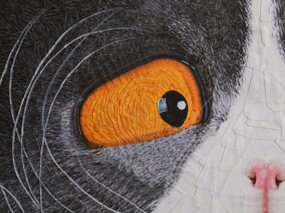 Scipio, detail collage eye eyes illustration paper portrait studio