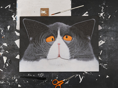 Scipio, studio cat cat portrait cats collage dribbble eyes illustration whiskers