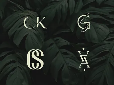 LetterFusion branding customerdesign graphic design logo logocreation uniquelogos