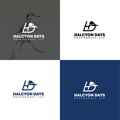 A kingfisher logo for construction agency. branding construction logo graphic design kingfisher design logo logo