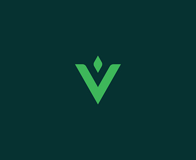 Valliance Bank - Case Study bank banking brand branding finance financial green identity logo type typography v