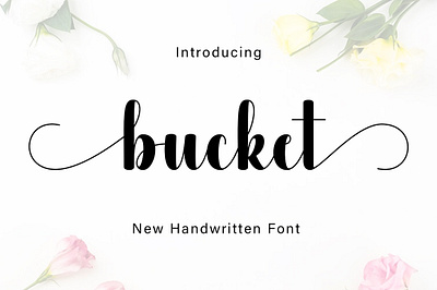 Bucket Font crafting font cute font handwritten monoline new font script script font