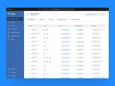Vela Patient Panel: Caseload Management healthcare
