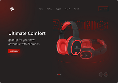 Zebronicz Website hero section landing page music application ui design web design website design