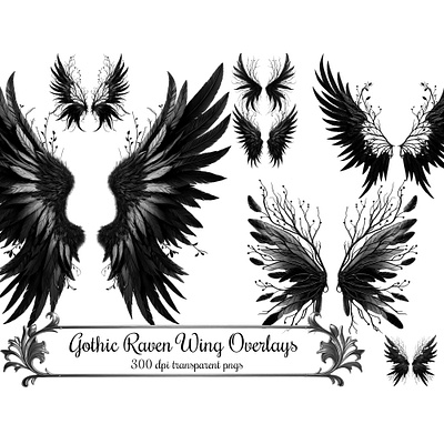 Gothic Raven Wing png Clip Art Overlays