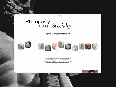 Grayscale rhinoplasty specialist website design 2024 agency design monochrome ux web