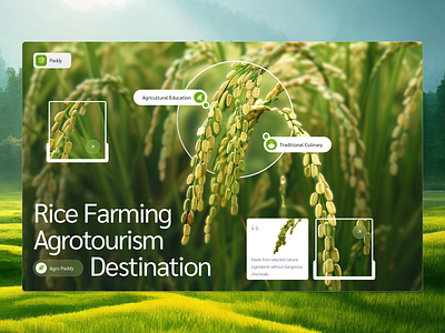 Rice Farming Agriculture Website agriculture argo tech design farm field hero section nature tech ui user interface ux web design website