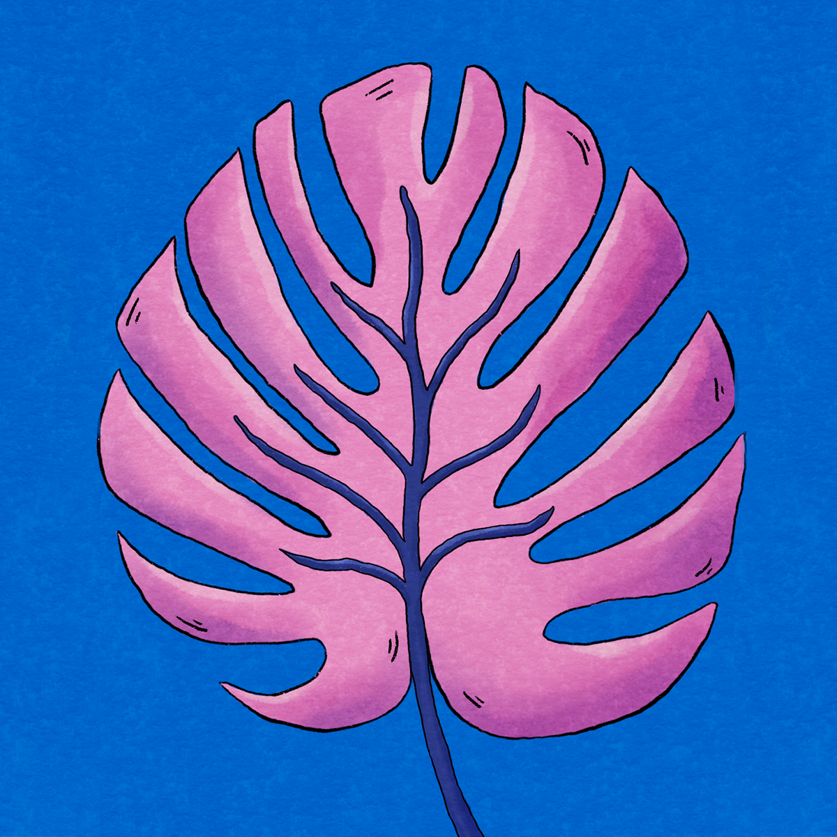 Monstera 2d acrylic animation black and white design digital drawing frame by frame glitch illustration leaf monstera motion graphics nature pencil pink plant procreate vector watercolor