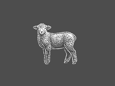 Lamb branding design engraved engraving etched etching illustration label lamb pen and ink scratchboard sheep vector engraving woodcut