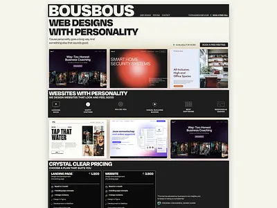 Web Design Agency Website branding graphic design landing page ui ux web design webdesign website website design