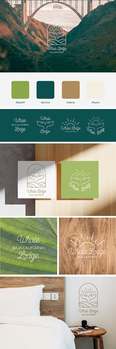 Whale Lodge. Eco-boutique hotel logo concept branding clean design eco graphic design hand written hotel illustration line art line logo logo minimal minimalistic logo retro script typography vector