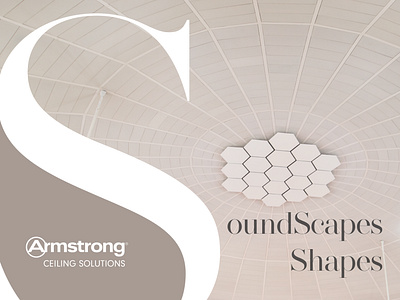 Soundscapes Shapes ceilings graphic design mailer white