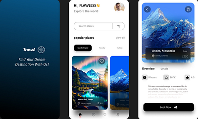 Flawless Travel Tour graphic design mobile app ui ux website