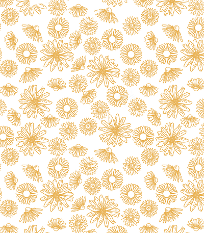 Daisies Pattern by Nanarts art branding clothing daidies design flower flowerpattren graphic design hand drawn illustration pattern procreate seamless seamlesspattern