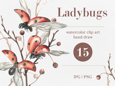 Ladybugs red with autumn watercolor beetle