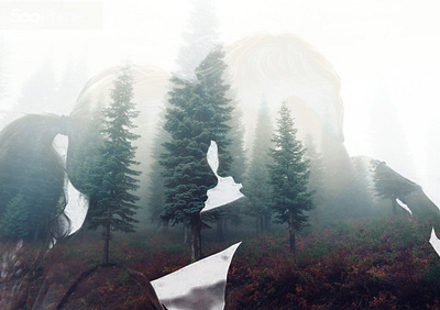 New Double Exposure Photoshop Action template