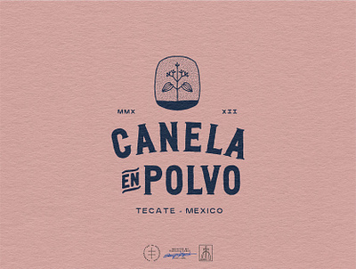 Canela en Polvo Logo Design brand design brand identity branding branding design cafe coffee hand drawn hand lettering identity design lettering logo logo design plant retro spanish type typographic typography vintage visual identity