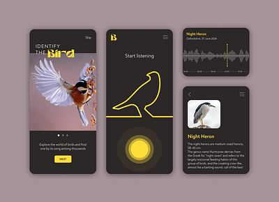 Identify Bird app bird branding design ui yellow