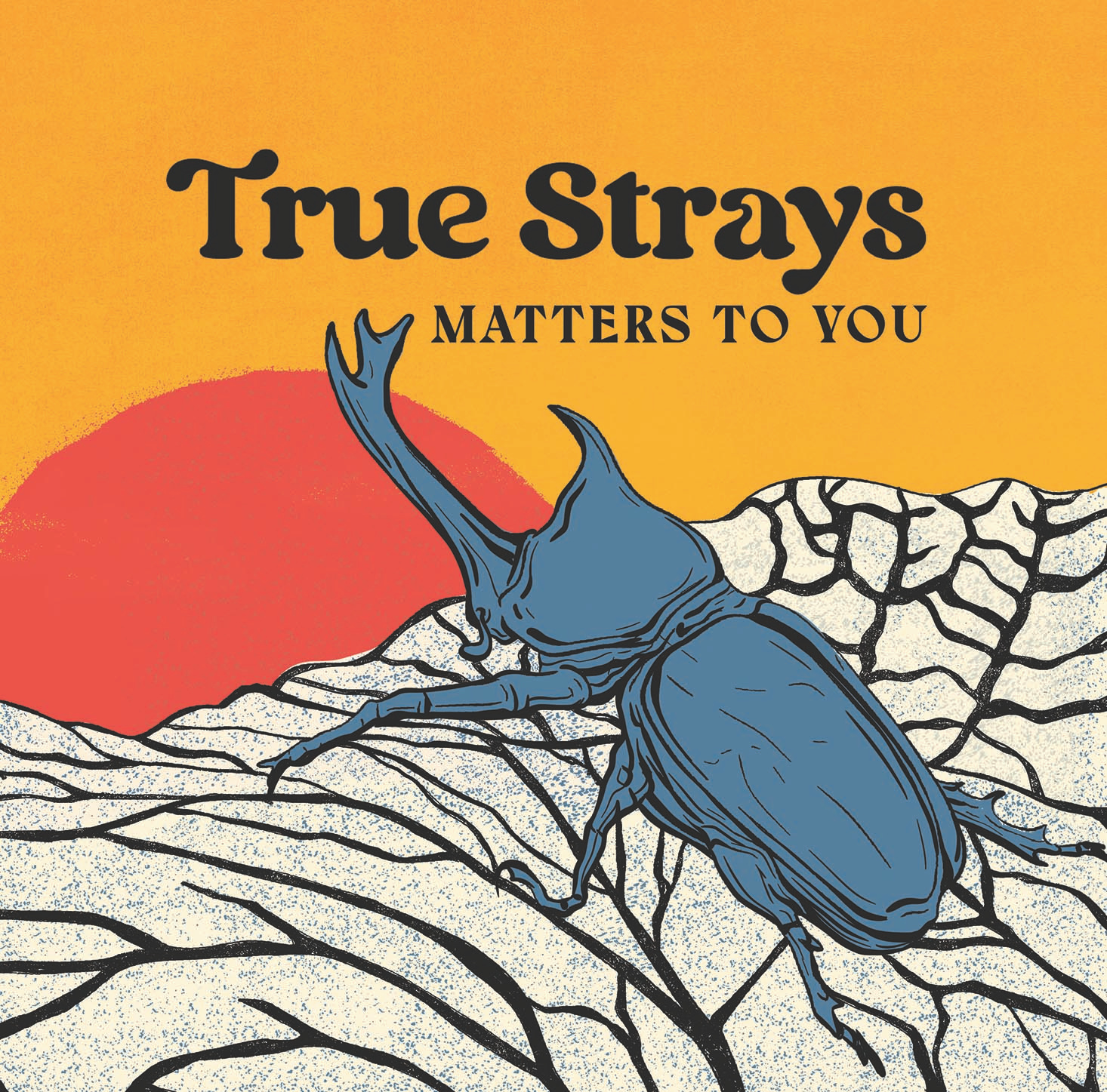 Merchandise and Album design for True Strays 2024 2d illustration album art album cover americana music cd desert illustration insects illustrations music art vinyl design