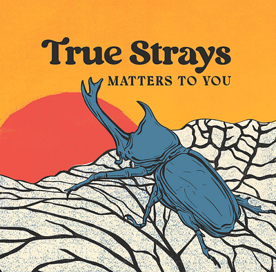 Merchandise and Album design for True Strays 2024 2d illustration album art album cover americana music cd desert illustration insects illustrations music art vinyl design