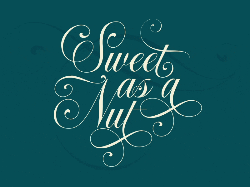 Sweet as a Nut aftereffects animation beautiful curl font illustration letter lettering nut ornaments script sweet typography wedding