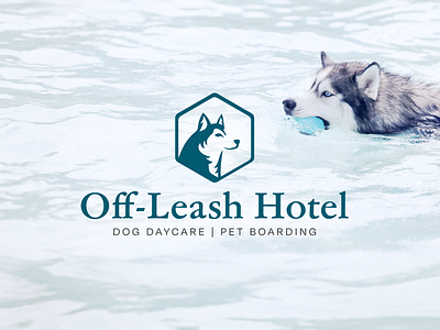 Off-Leash Hotel | Logo and Brand Design brand identity color pallete combination logo dog daycare dog logo eddm flyers graphic design hexagon husky leash logo suite luxury brand marketing pet boarding pet hotel pool postcard design social posts swim