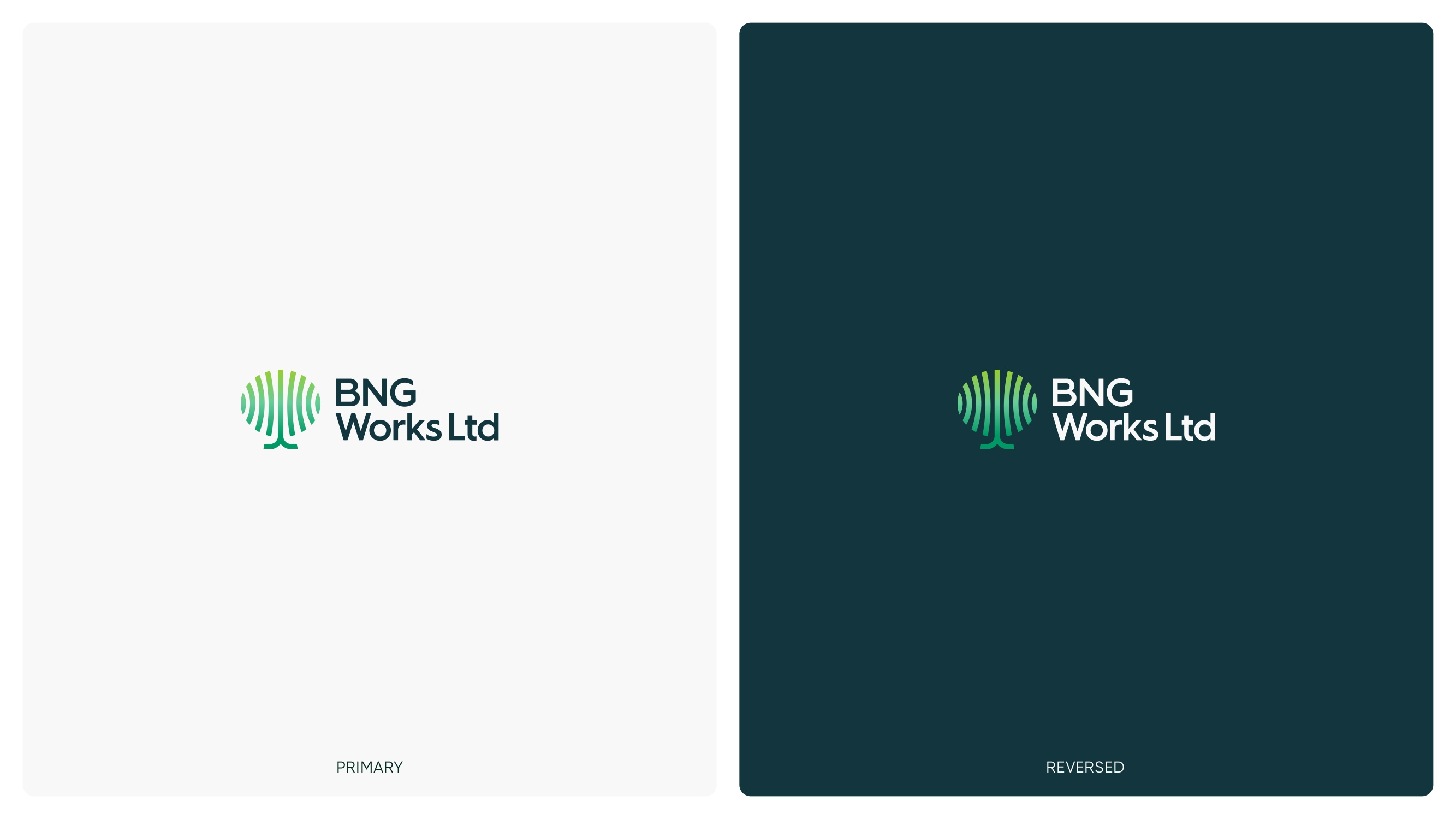 BNG Works Limited branding design graphic design icon illustration illustrator logo minimal vector