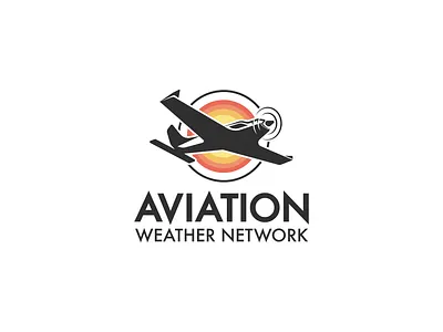 Logo for Aviation brand graphic design logo