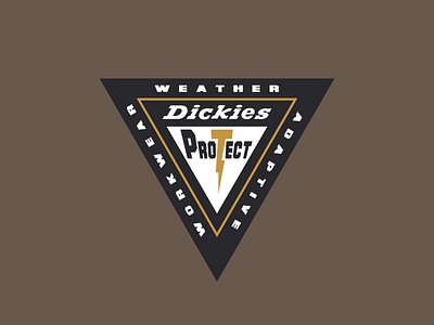 Dickies Protect Lockup Design 6 branding design graphic design logo typography vector