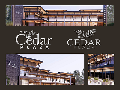 The Cedar Plaza Logo Concept 2024 branding business cedar commercial concept graphic design logo luxury modern plaza real estate