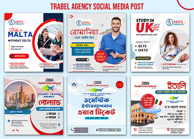 Trabel agency Social media post animation banner ads cover design graphic design graphicdesign ins instagram socia social media post trabel agency