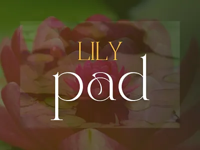 LilyPad - App Prototype app ui