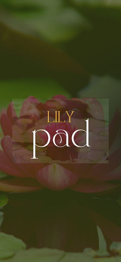 LilyPad - App Prototype app ui