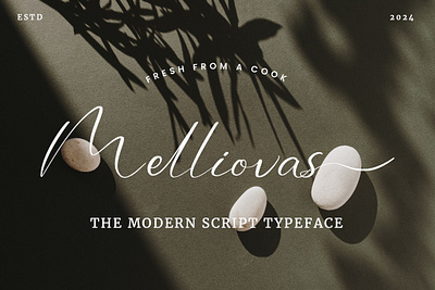 Melliovas - Modern Script Font alternate beauty branding brands casual fancy feminime font handwritten ligature luxury makeup script signature style trends typeface unique urban wedding