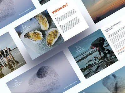 Branding branding presentation template